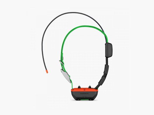 Obroża GPS i treningowa Garmin TT25F - Śledzenie psa myśliwskiego