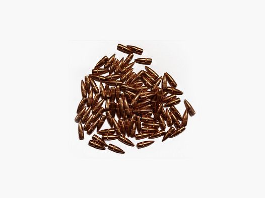 1000 OGIVES GGG .224 FMJ 55gr