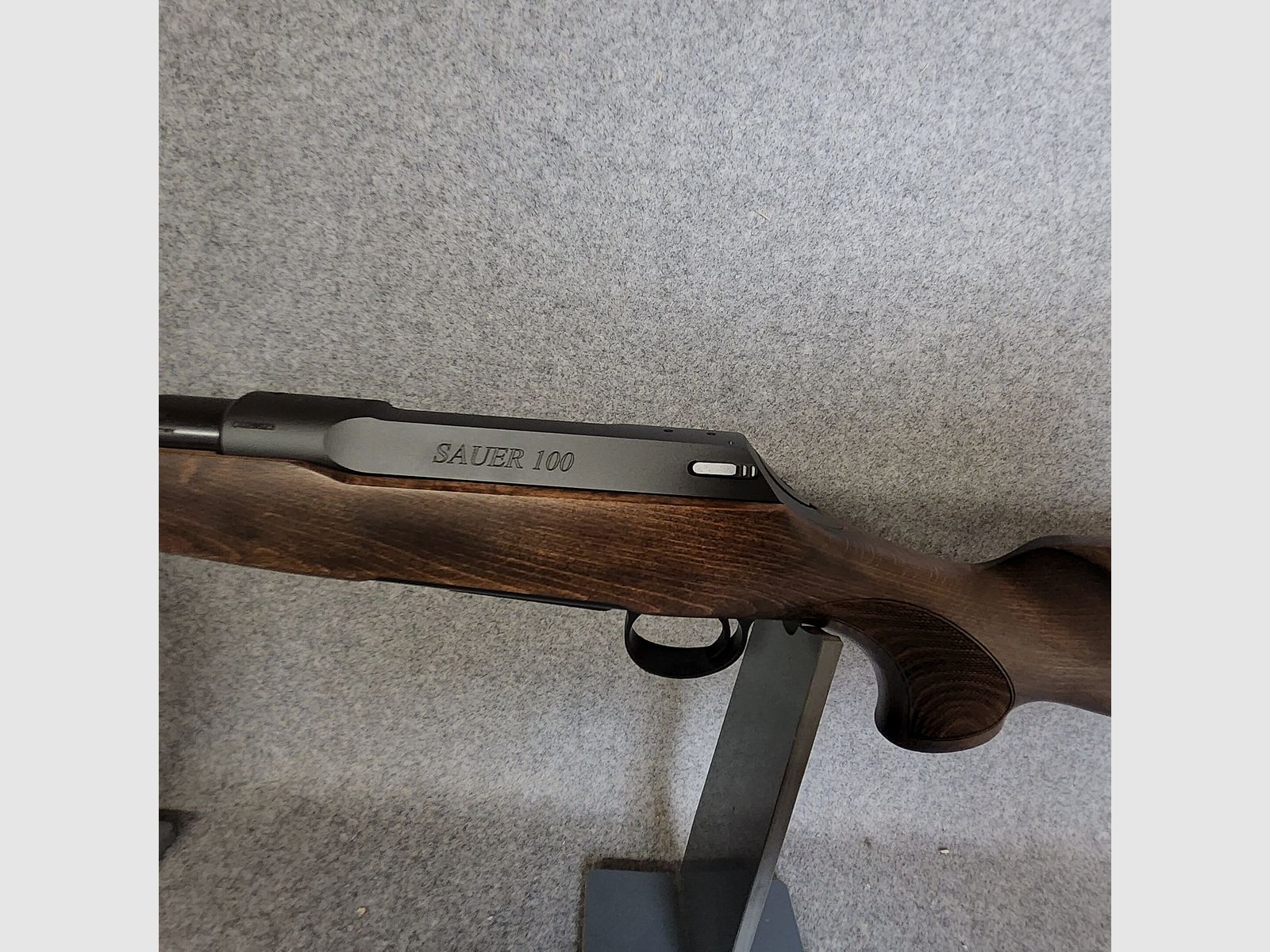 Sauer 100
