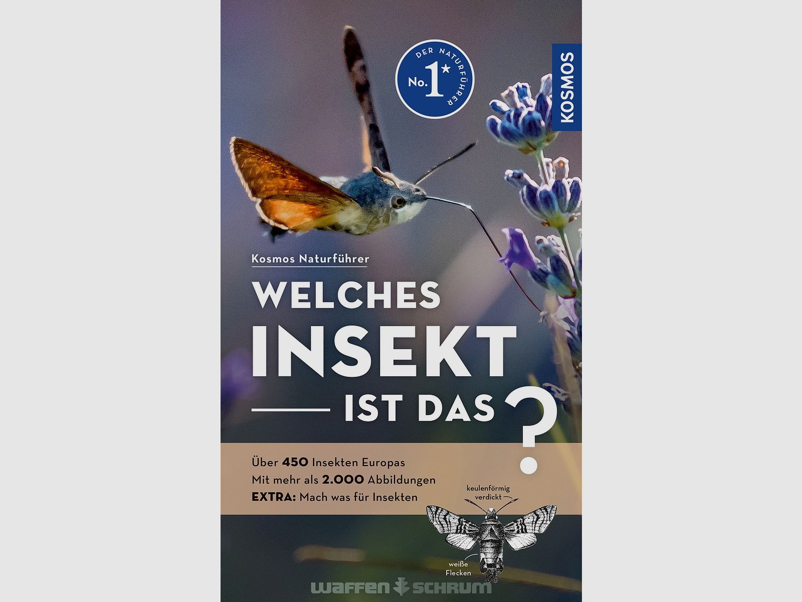 Cosmos Which insect is that? Bellmann