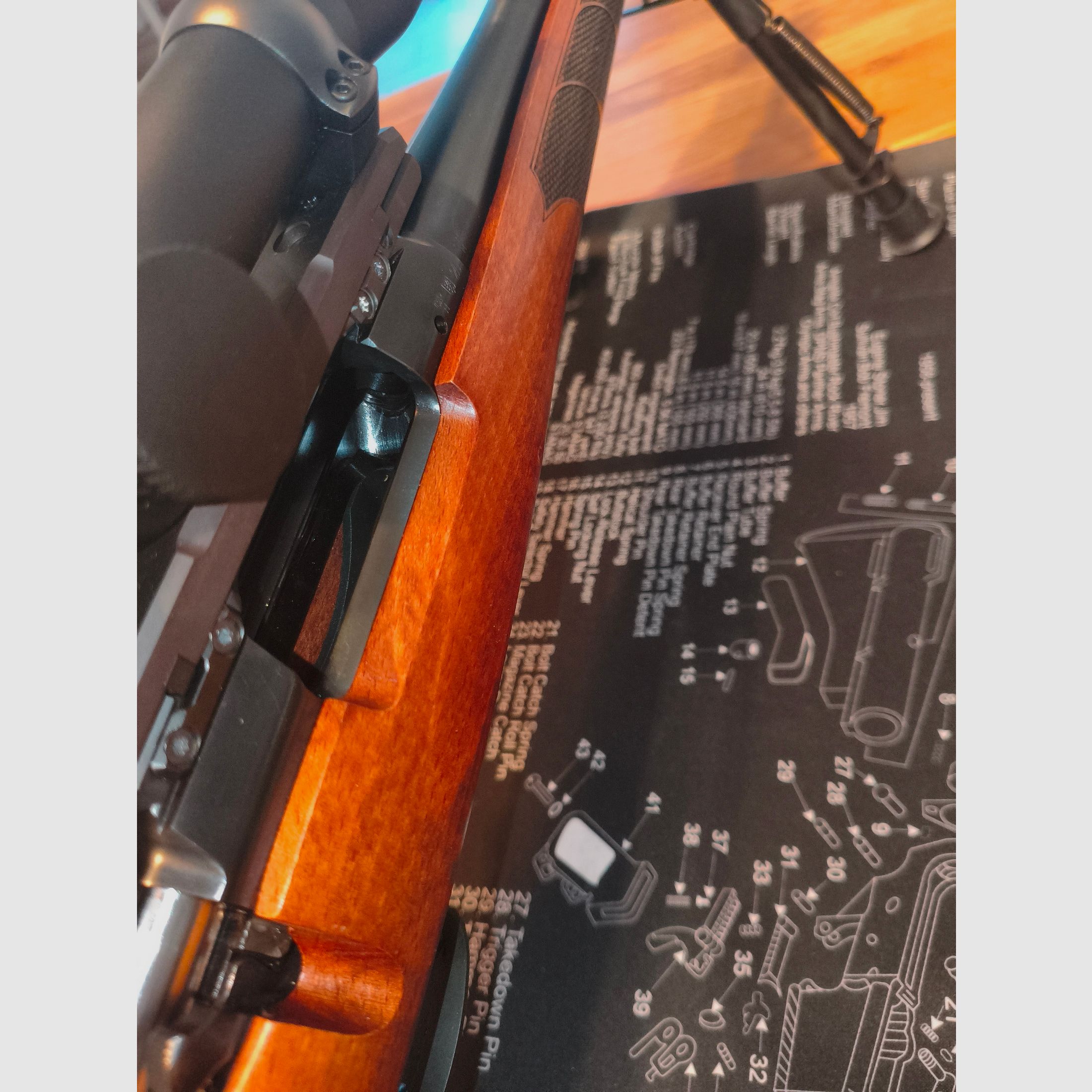 CZ 557 RANGER(R) in .308 WIN komplett mit GPO SPECTRA und DENTLER