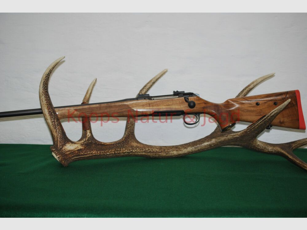 Sauer 101 Artemis
