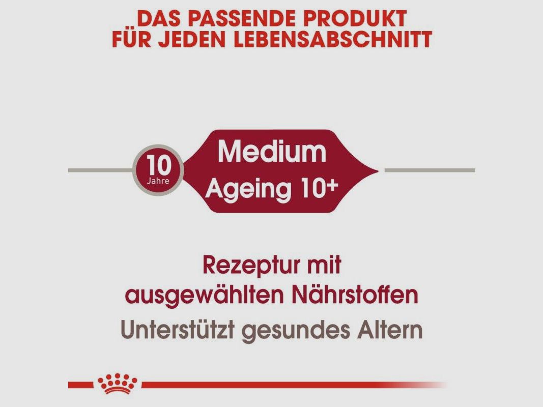 ROYAL CANIN Ältere Mittelgroße Hunde Nassfutter Medium Ageing 10+ 10x140 g
