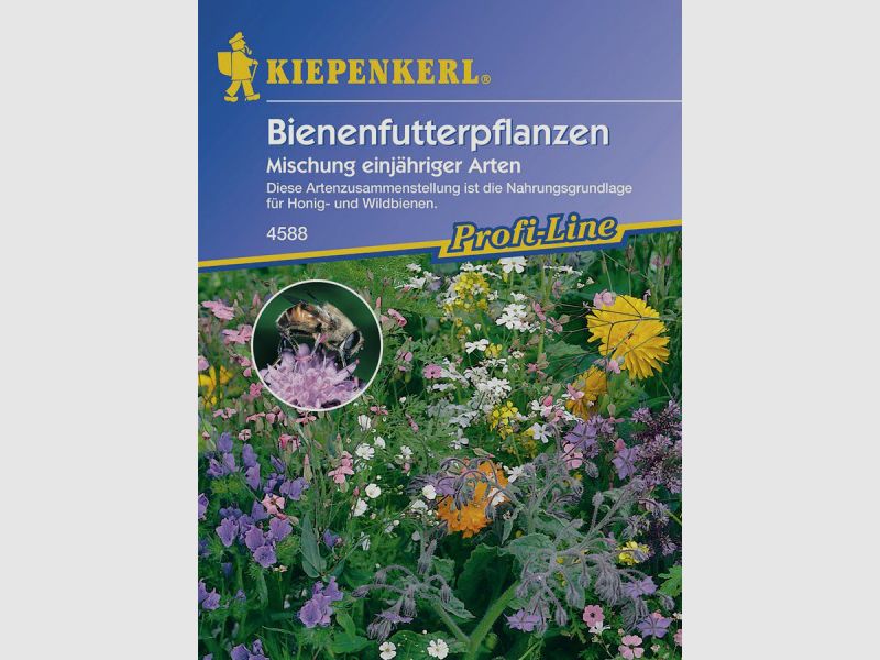 Kiepenkerl Bienenfutterpflanzen