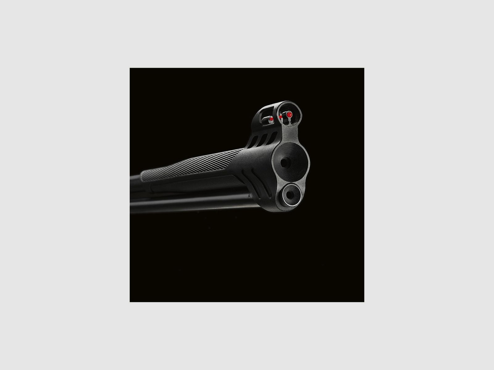 Stoeger RX40 Holz Combo Kal. 4,5mm, Bild 6 von 7