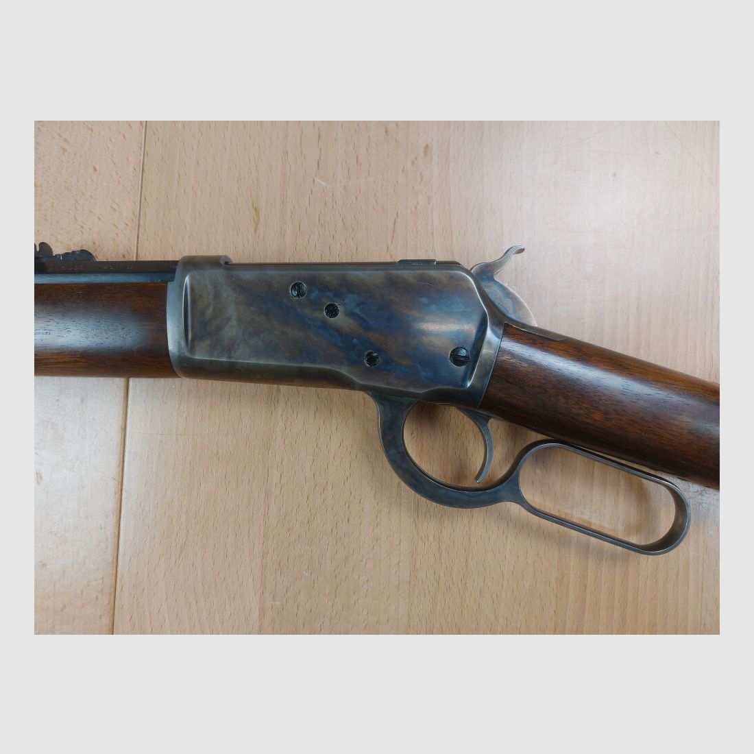 Chiappa M 1892