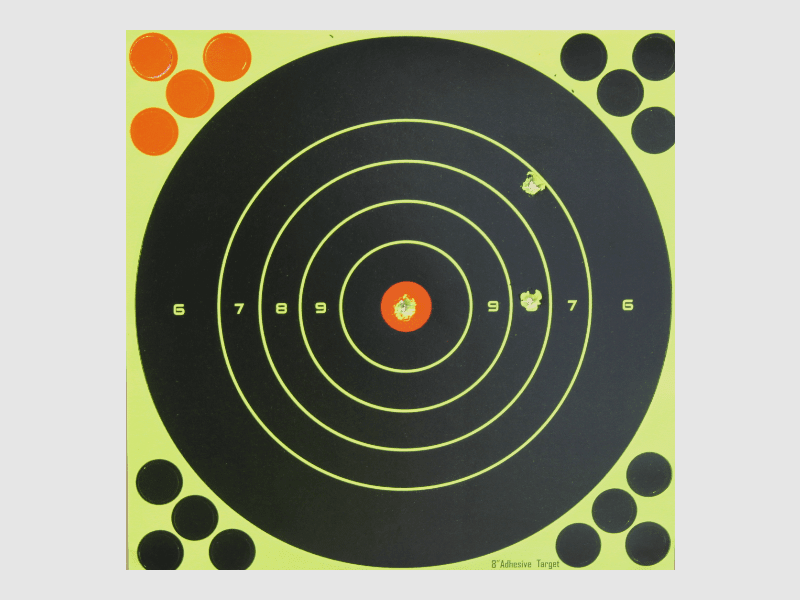 Cible Fritzmann avec indication de coup 25 pièces