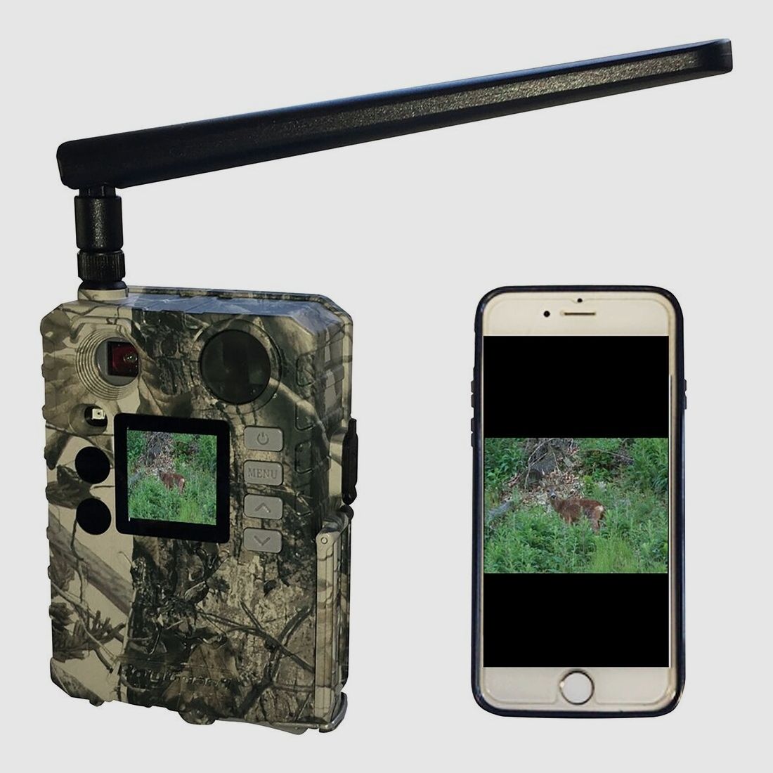 Fotocamera per fauna selvatica Berger & Schröter 4G/LTE, BG310-M, 18MP