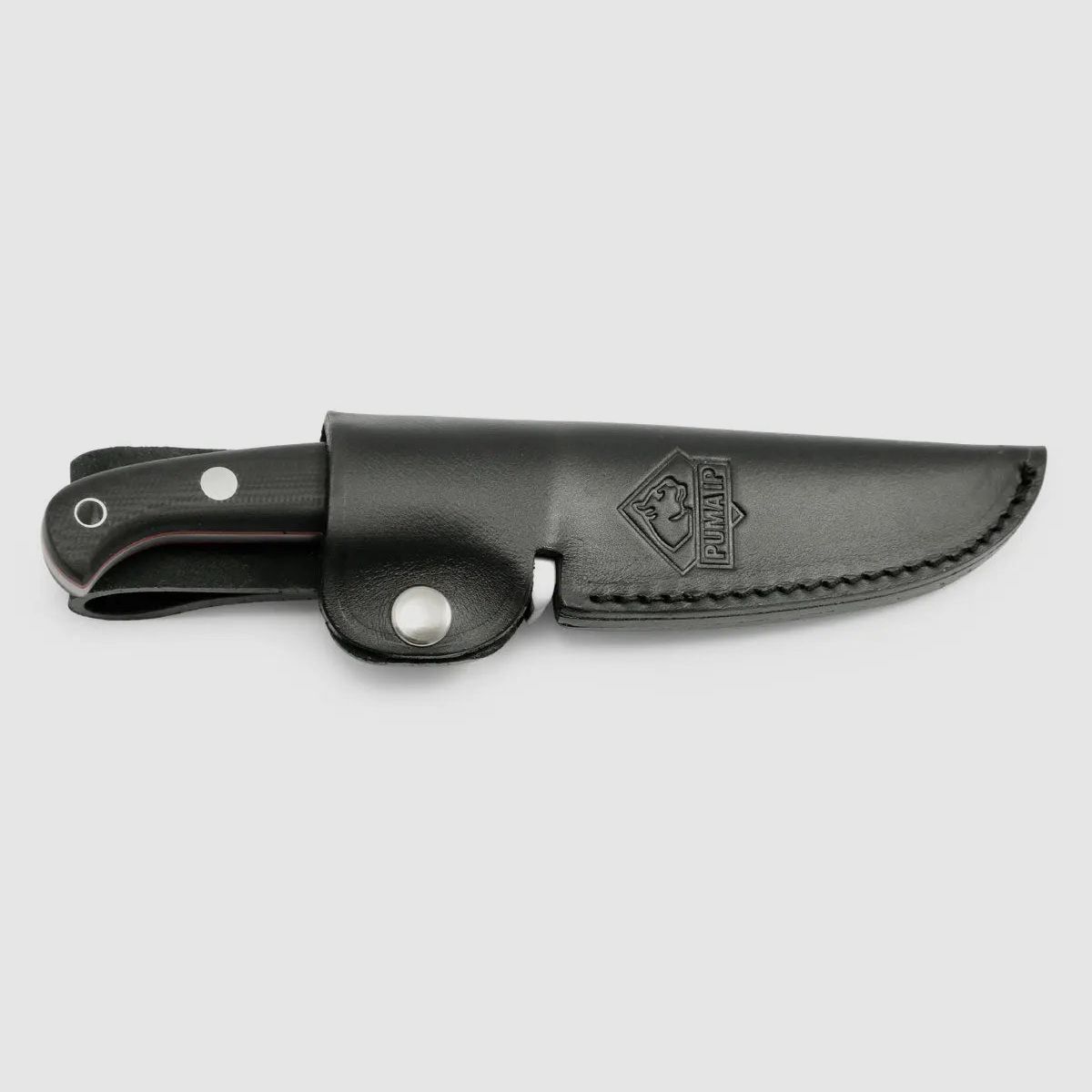 PUMA IP canis G10