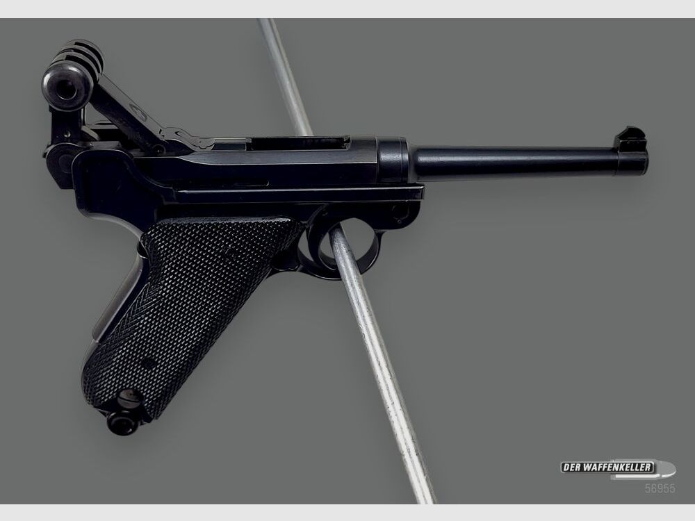 Fábrica de armas de Berna (W+F) 06/29 1929