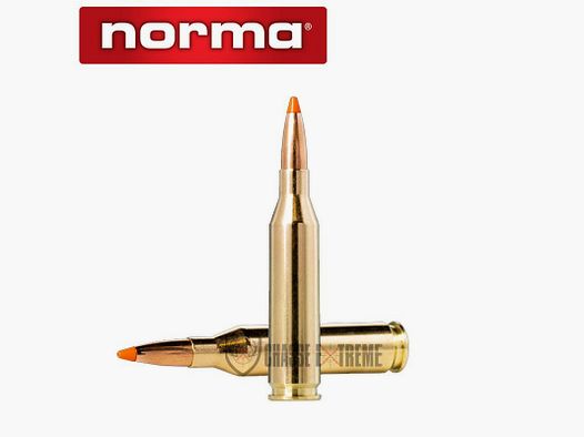 20 Patronen NORMA .243 Win 76gr Tipstrike Varmint