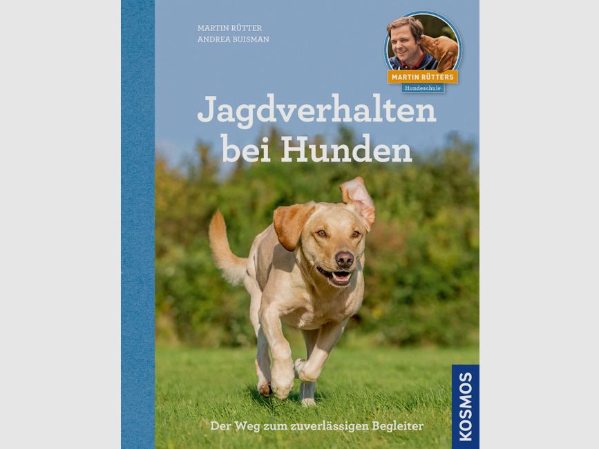 Kosmos Jagdverhalten bei Hunden