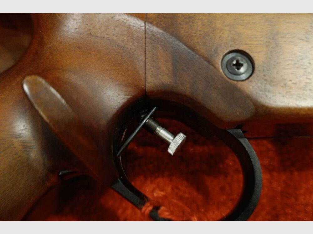 Walther FP .22lr