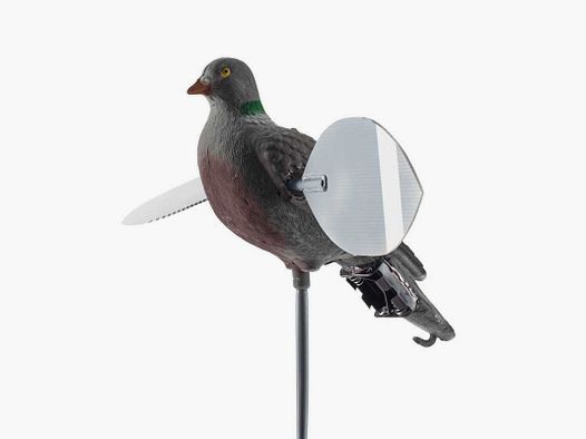 Colombaccio ali giregoli Lucky Duck - LUCKY PIGEON HD