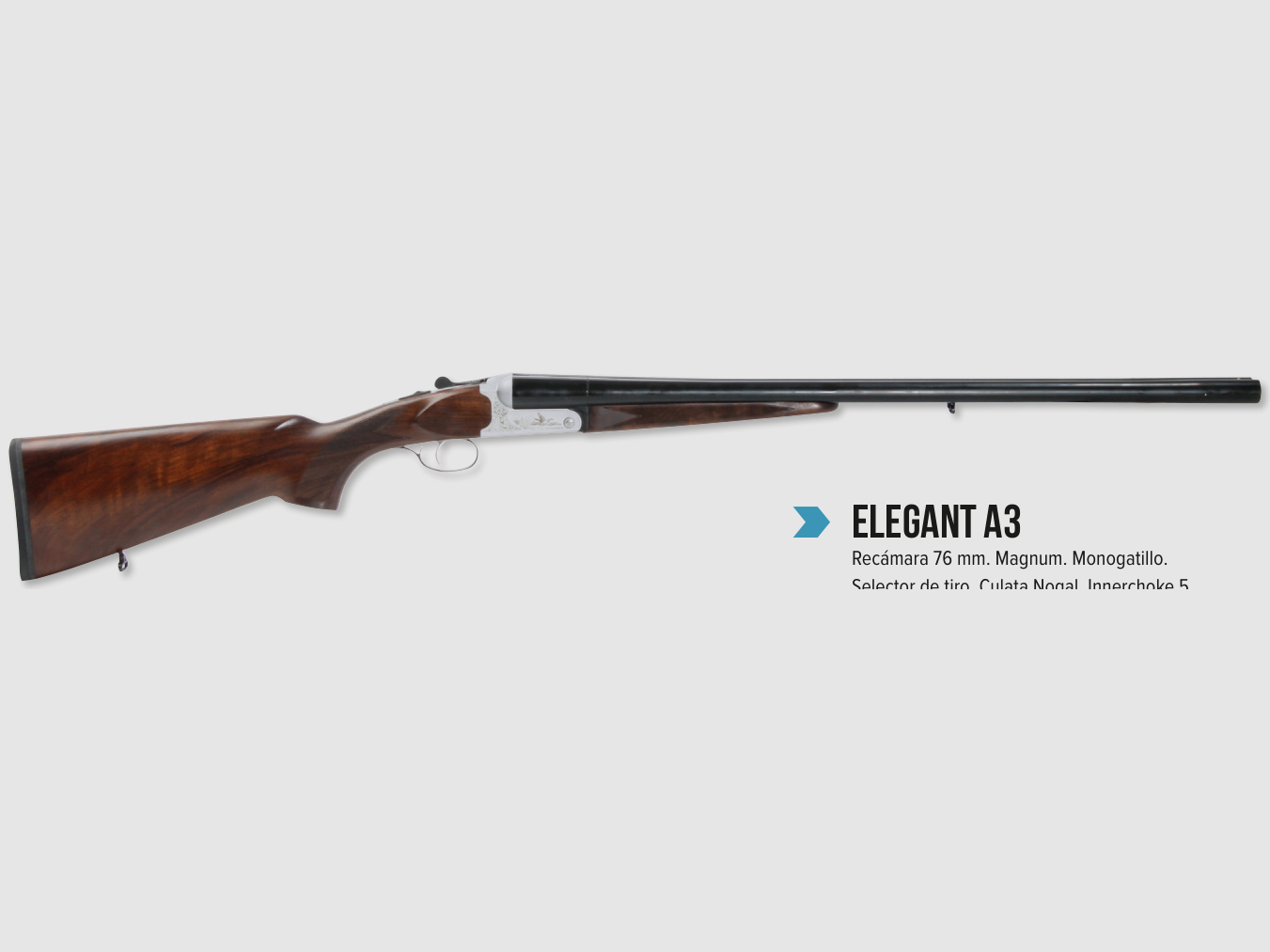 Skyway STINGER ELEGANT A3 EXPULS c/12-71 PARAL+5c