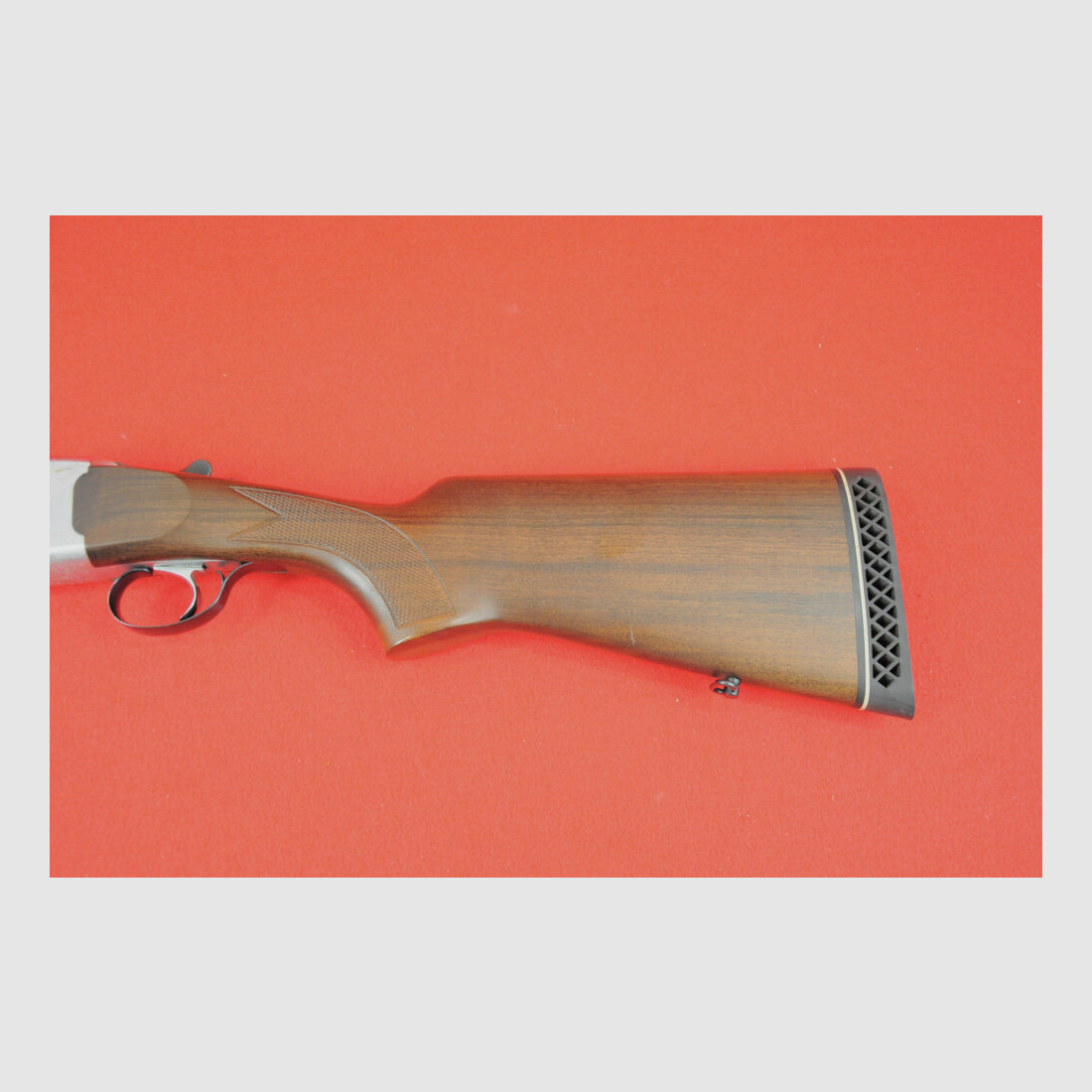 Marocchi Brigant