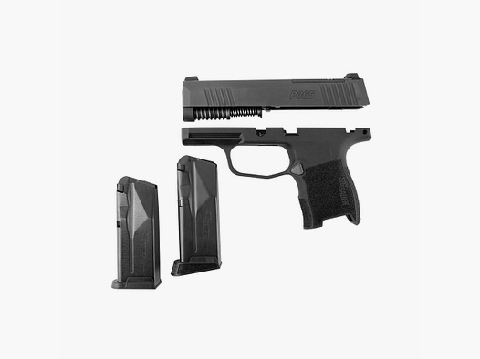 SIG Sauer SIG SAUER système interchangeable P365 Optic Ready 9mm Luger