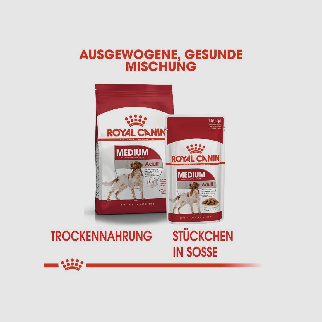 ROYAL CANIN Mittelgroße Hunde Nassfutter Medium Adult 10x140 g