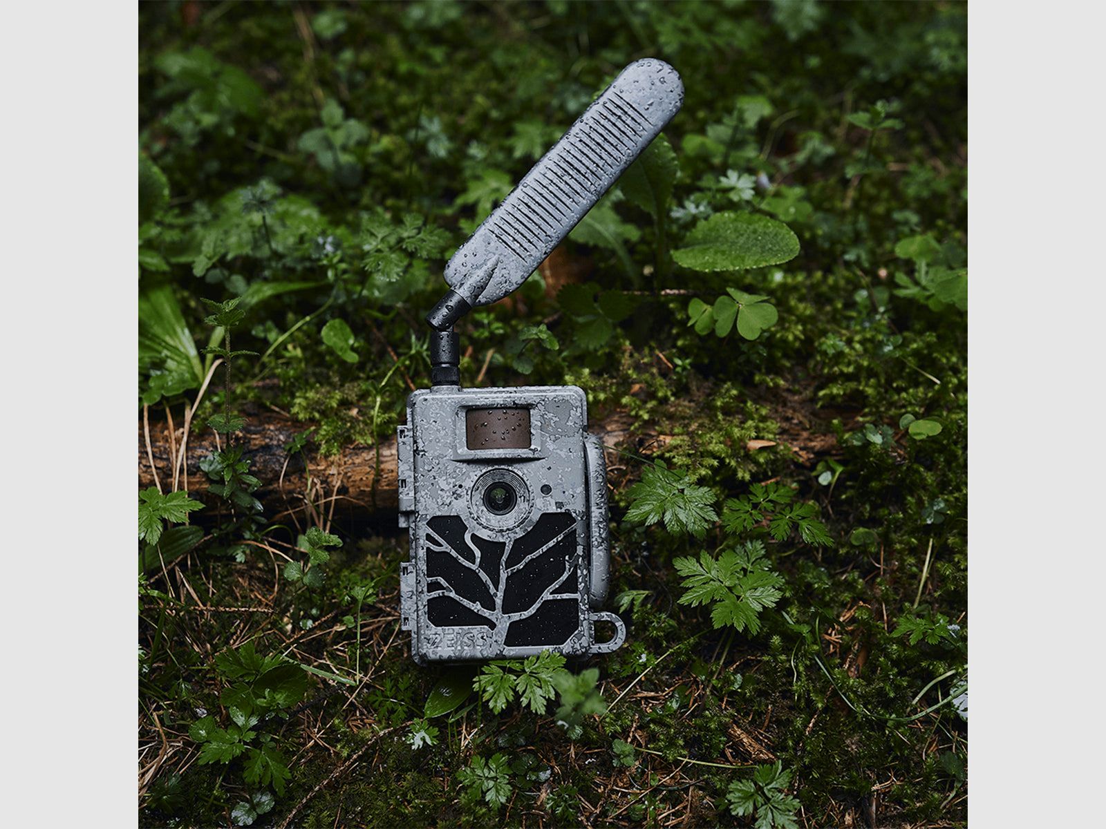 Wildkamera ZEISS Secacam 5 Weitwinkel, Bild 7 von 9