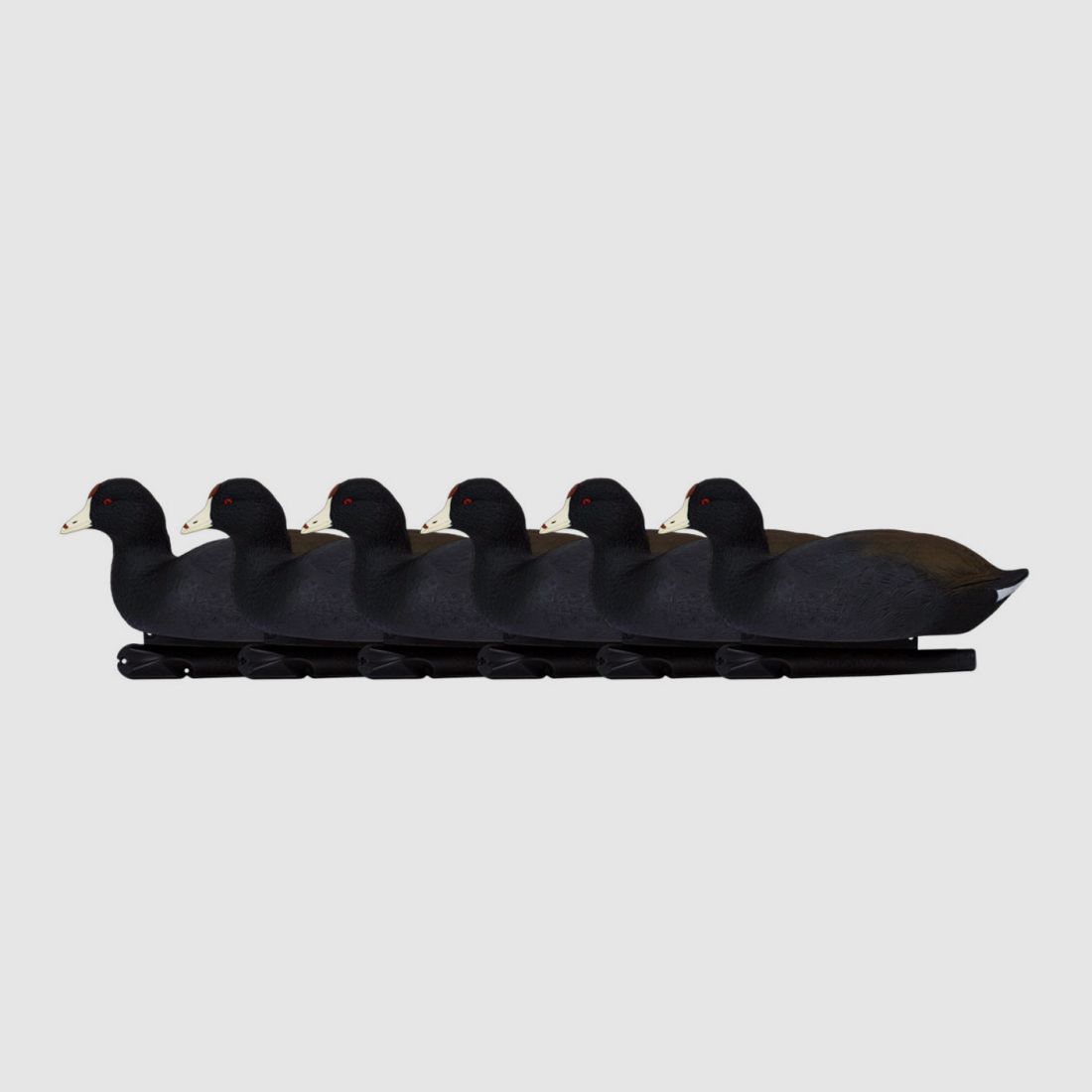 Forme von Foulque AvianX 6er Pack, Bild 1 von 6