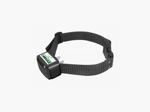 Zusätzliches Halsband für Canifugue Zaun