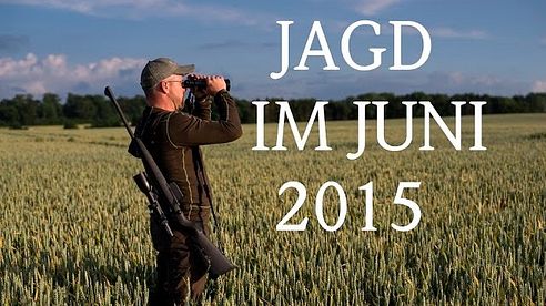 Jagd Juni 2015