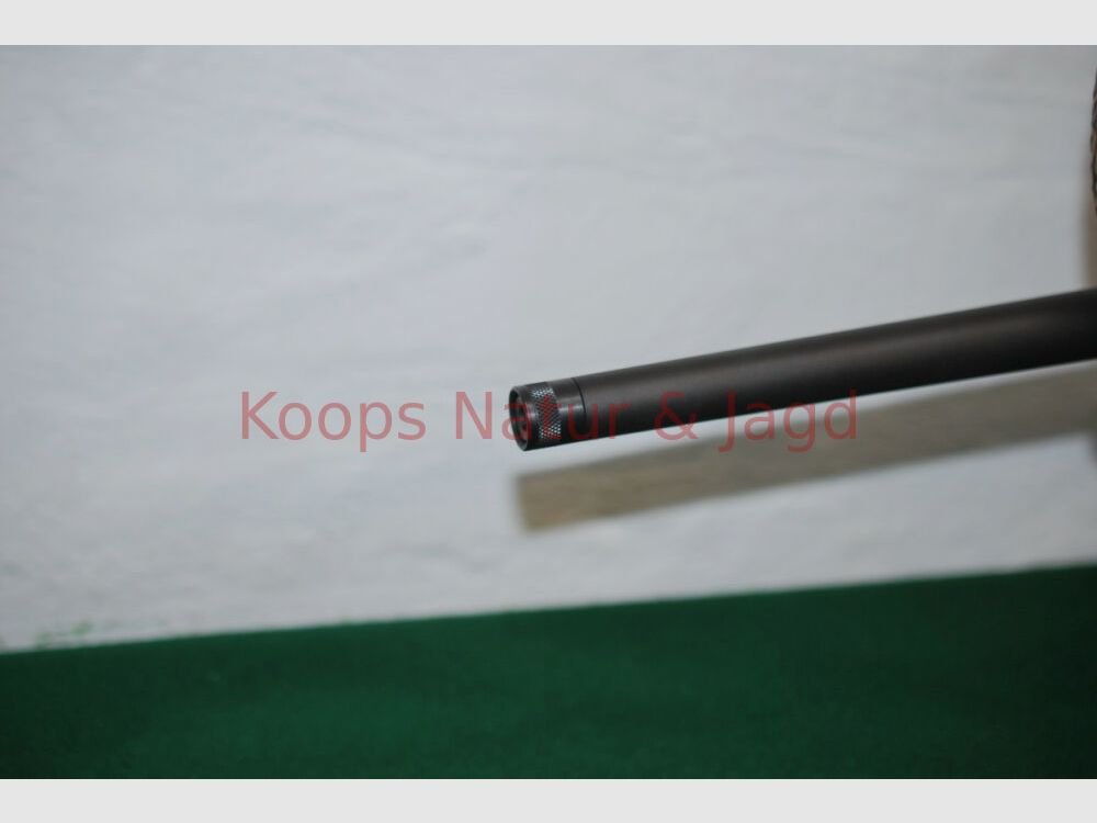 Savage Arms Impuls Hog Hunter