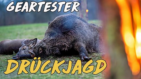 Geartester Drückjagd 24/25