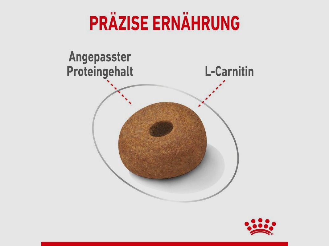 ROYAL CANIN Trockenfutter Light Weight Care Maxi für zu Übergewicht neigenden Hunden