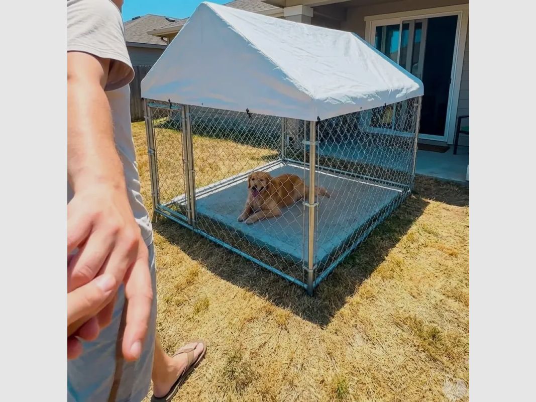Enclos extérieur 2 × 2 × 1,60 m avec toile imperméable, image 9 sur 14