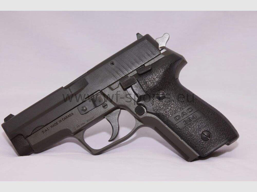 Dlask Arms DAC 9mm 228