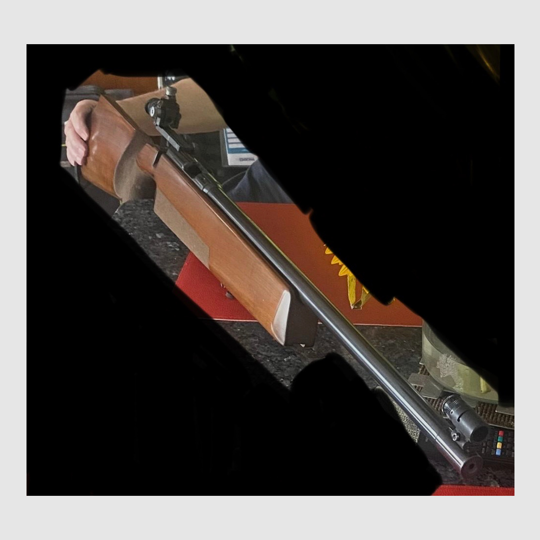 Anschütz match rifle with diopter rear sight