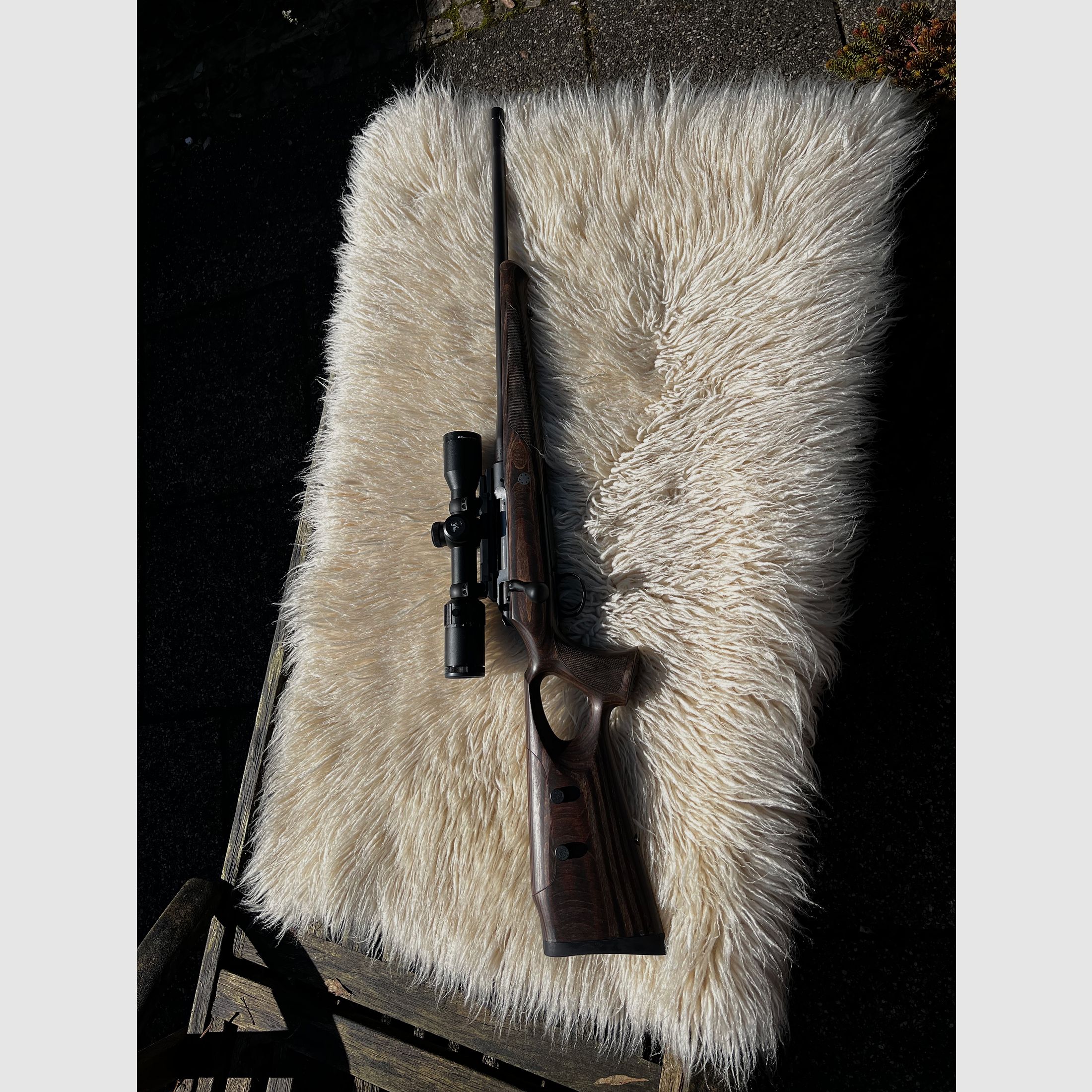 Sauer 101 GTI 308Win  51cmLauf
