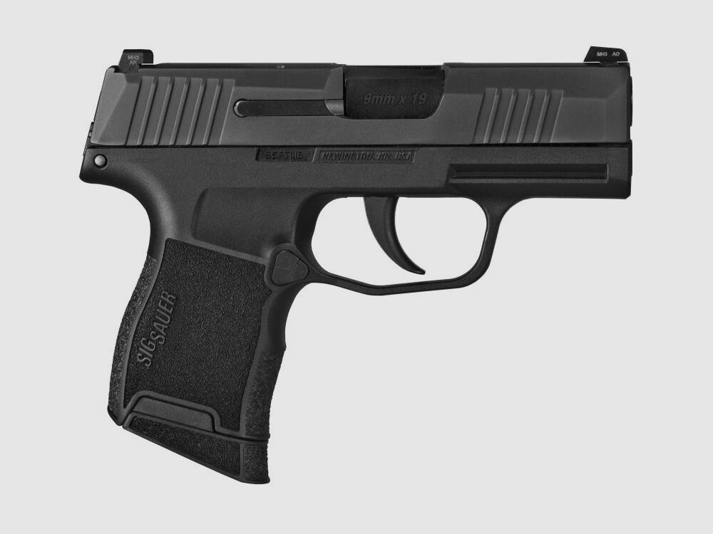 Sig Sauer Nitron, image 2 sur 2