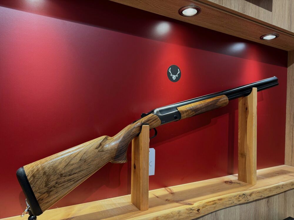 Blaser F16 Game
