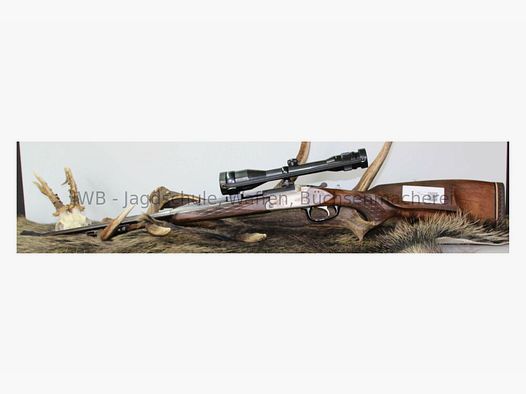 Blaser BSM 77 - K77 - 77 .30-06Spring