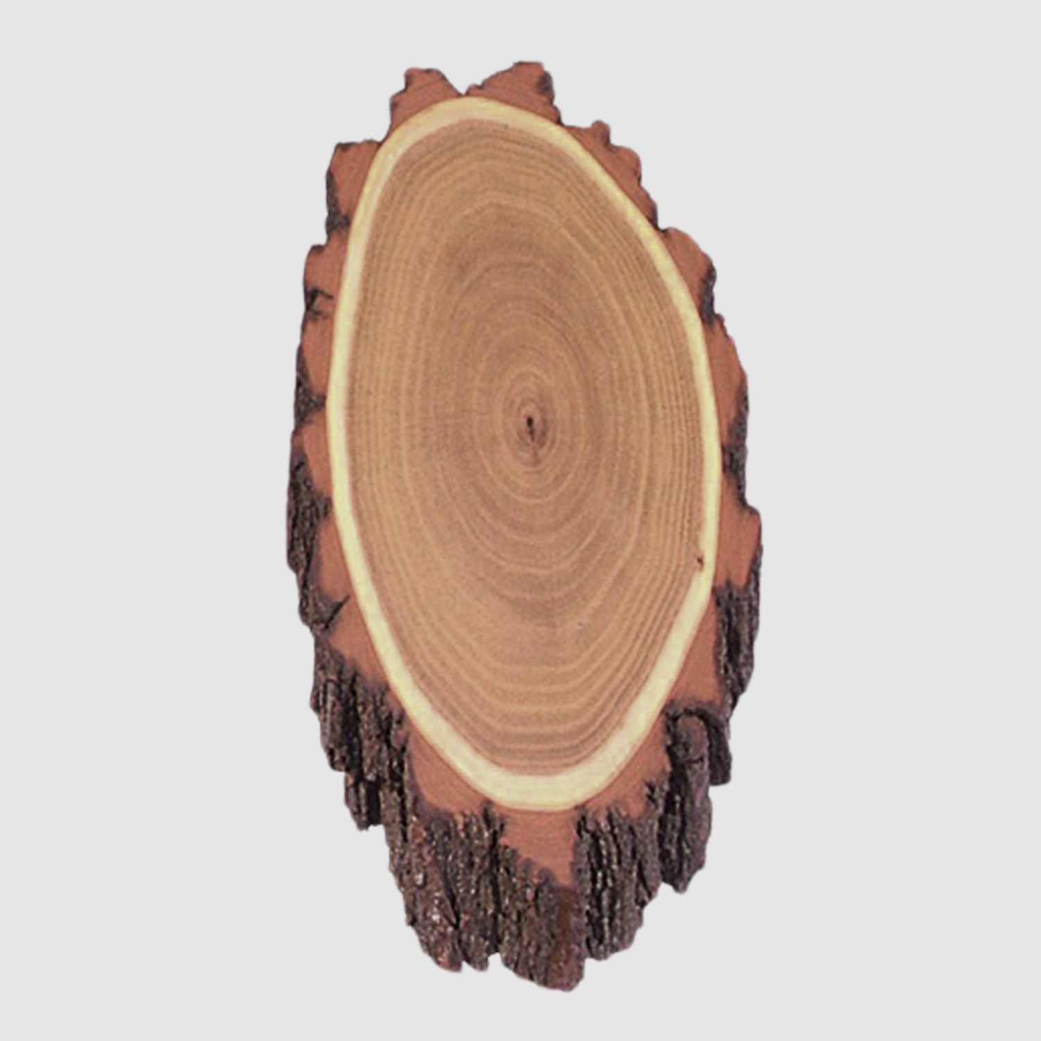 Deer antler shield acacia