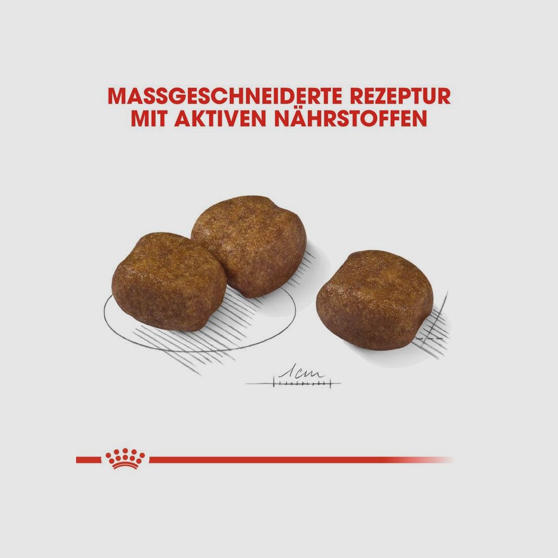ROYAL CANIN Große Hunde Trockenfutter Dental Care Maxi für empfindliche Zähne 9 Kg