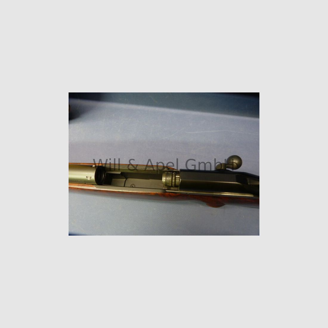 BLASER/ ISNY R93 TIMBER