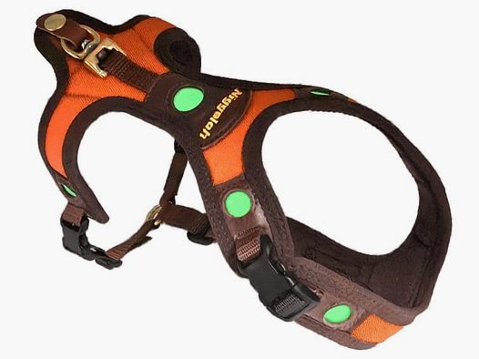 Niggeloh Suivez Lichtblick harnais pour chien