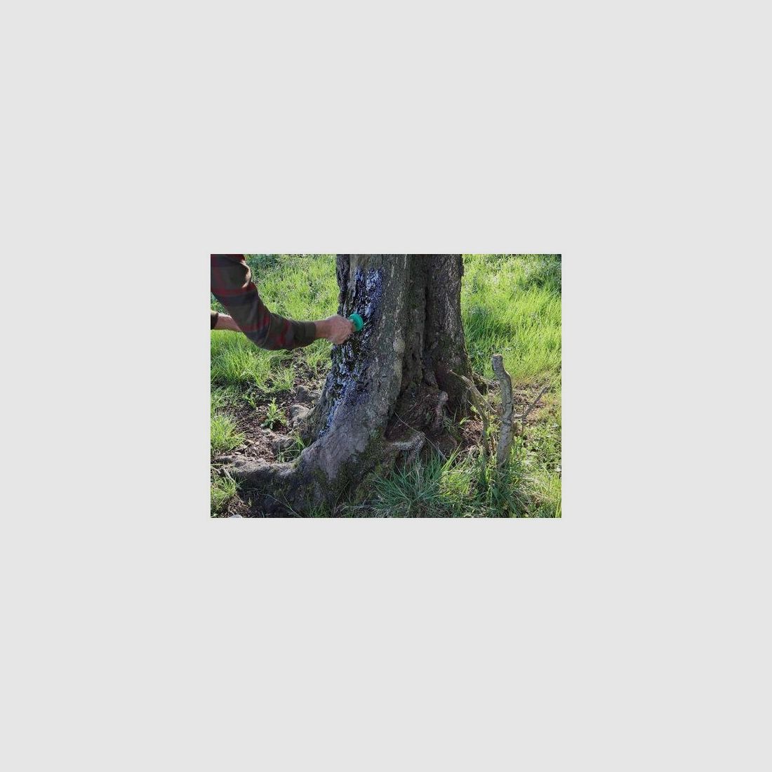 Buchenholzteer mit Pinsel 500ml