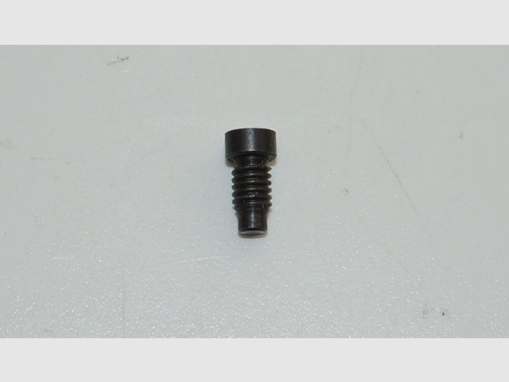 Bern Armory Used Safety Screw for Top Plate Screw for Swiss Service Revolver 1882