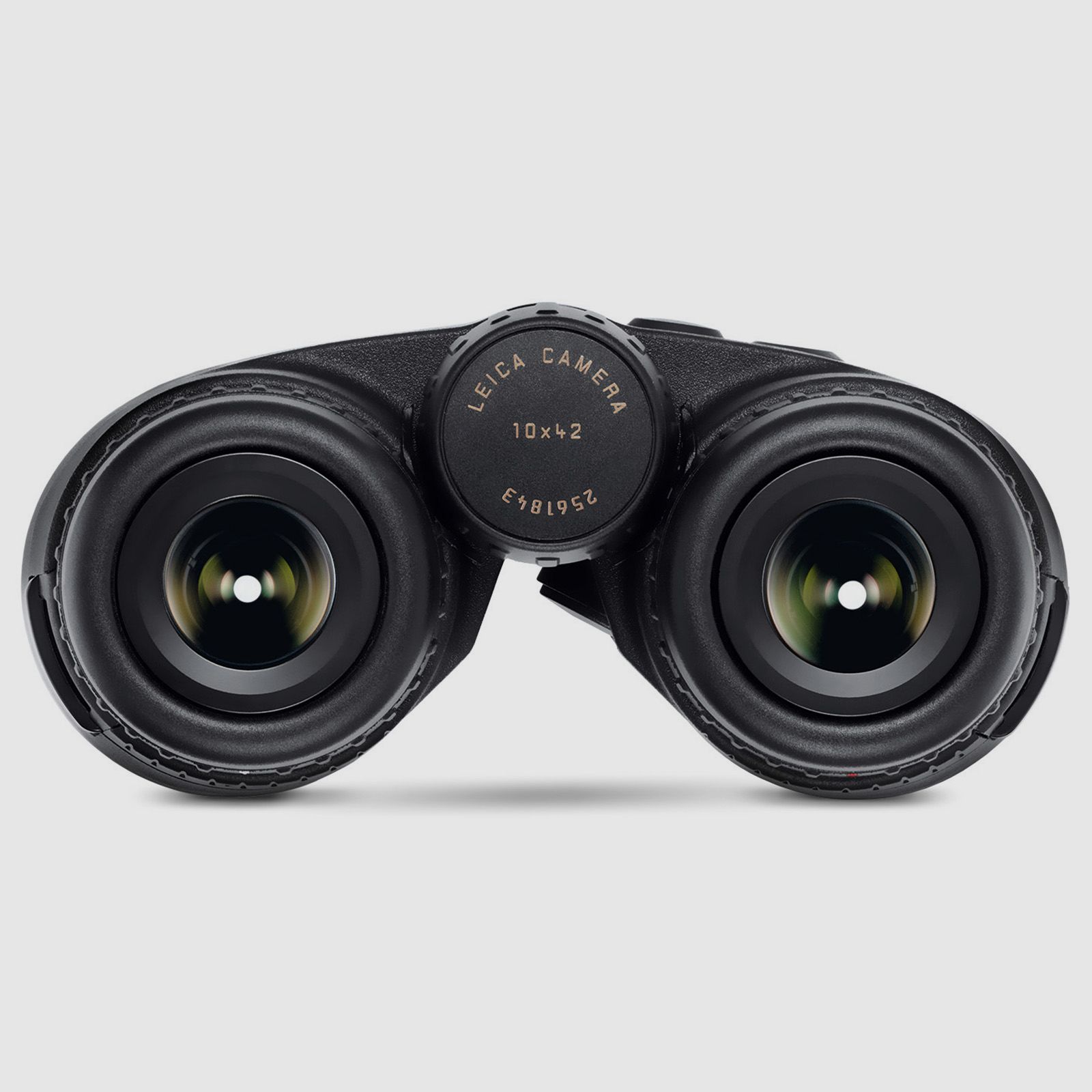 LEICA Fernglas mit Entfernungsmesser Geovid 10x42 R SE