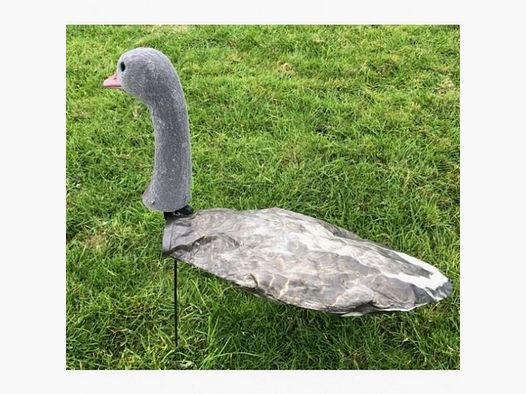 Windecoy greylag goose with head 10 pcs.