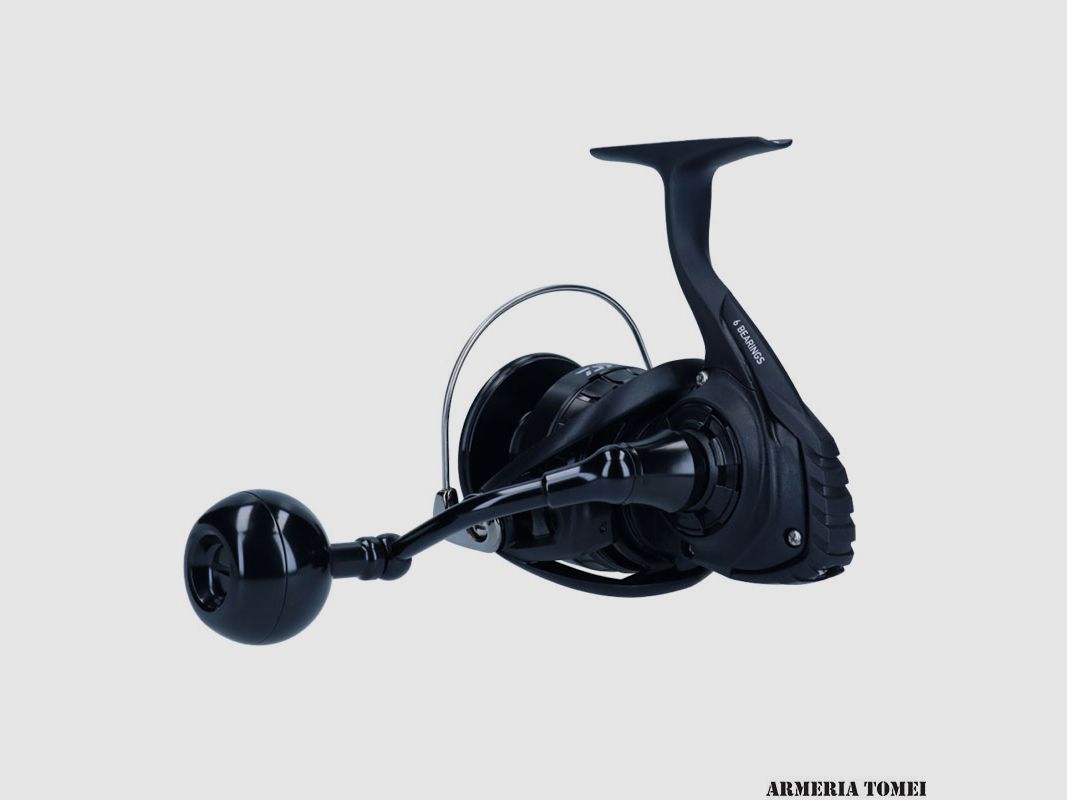 MULINELLO – DAIWA – BG BLACK LT 8000-H-ARK, afbeelding 4 van 6