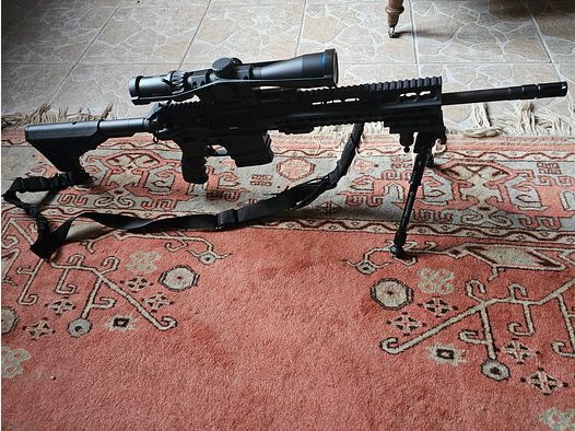 Haenel CR 308 AR 10