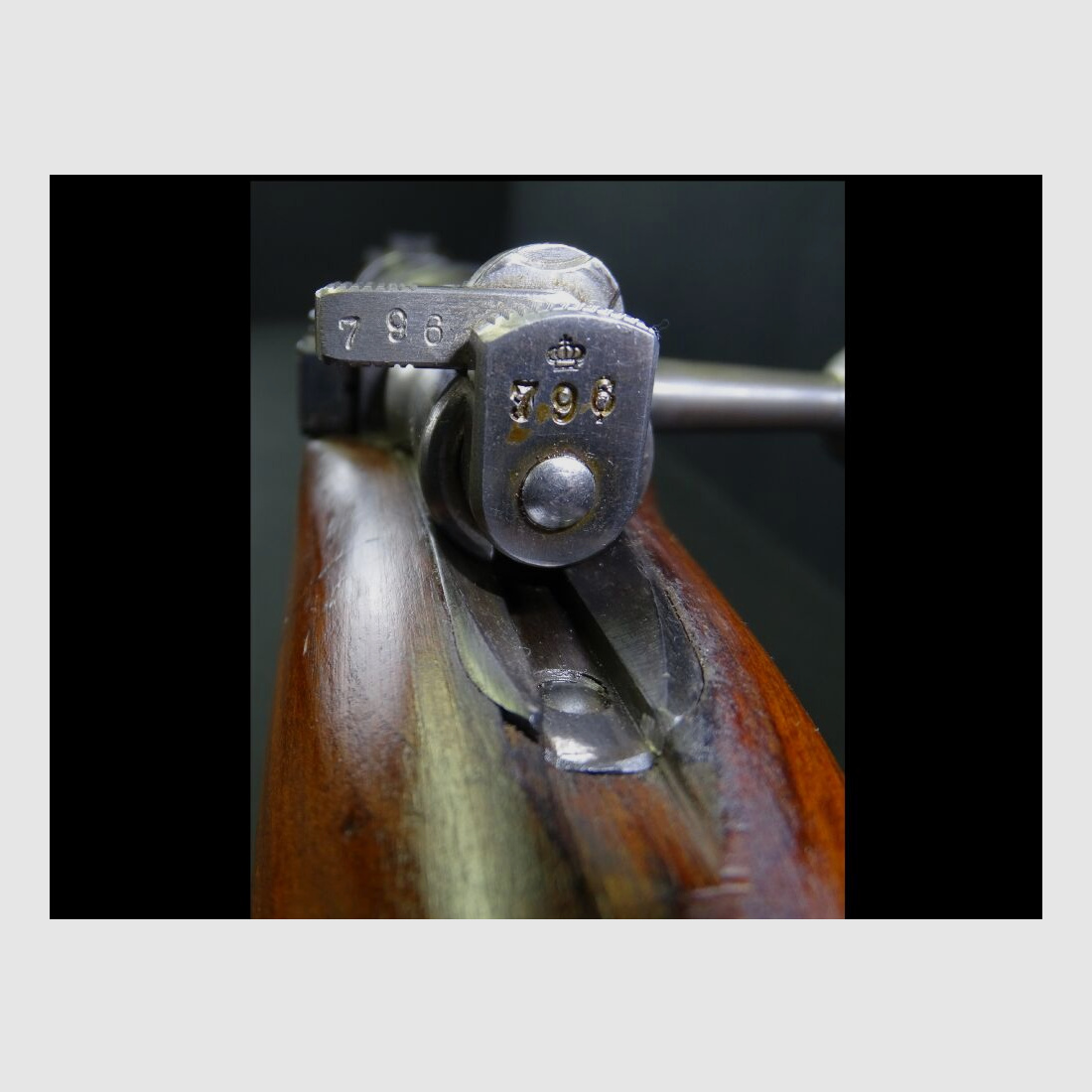 Carl Gustav M96