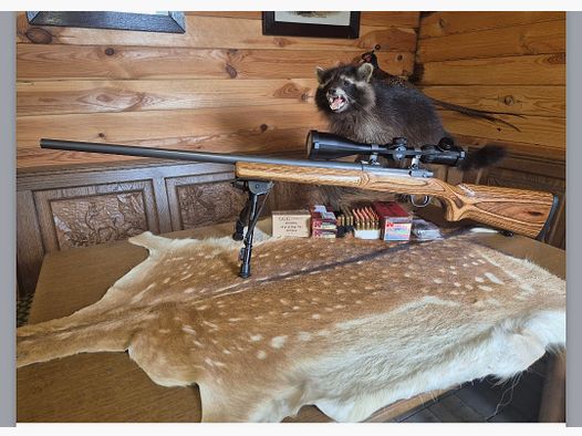 Ruger M77 MK2 VT Varmint/Target SS 223 REM in very good condition Harris Ultra Light bipod