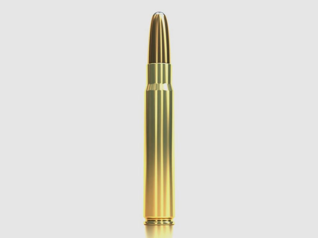 S&B 9,3x62 Exergy 16,2g/250gr, Bild 4 von 4