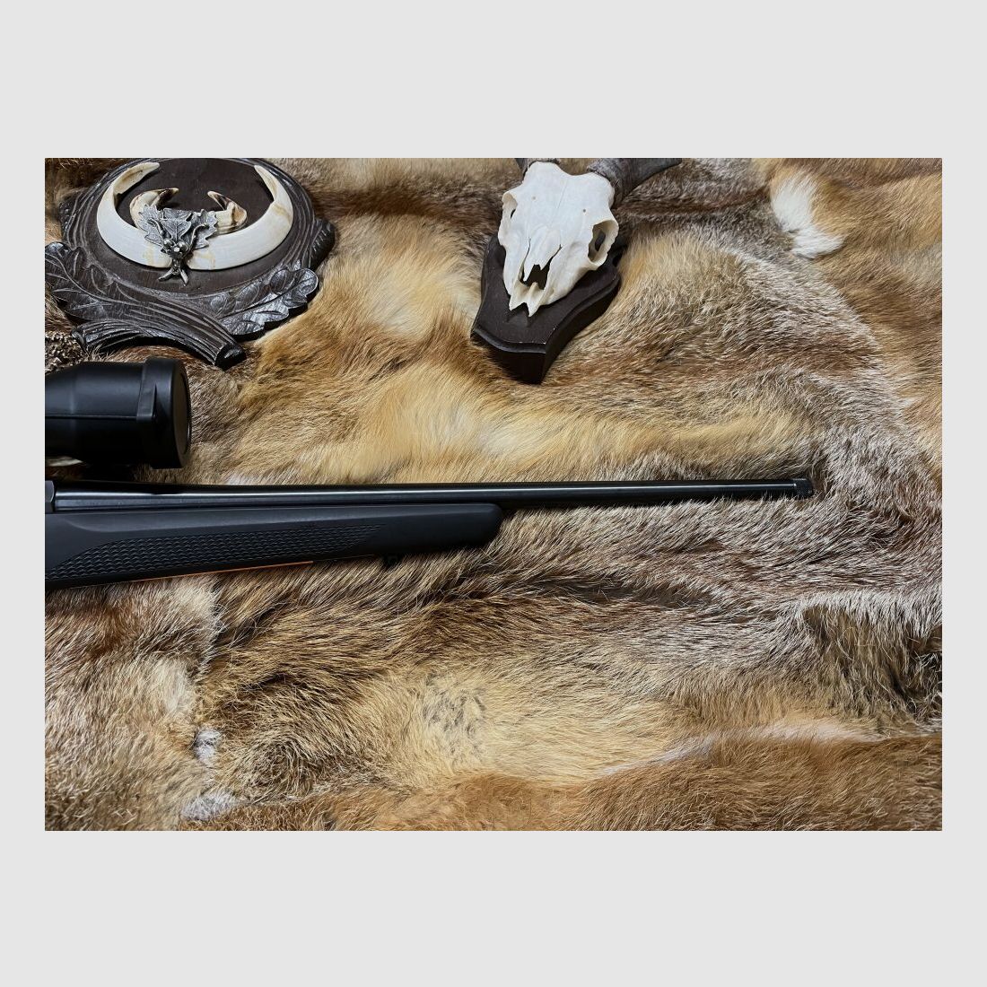 Tikka T3